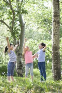 Happy children playing in woods